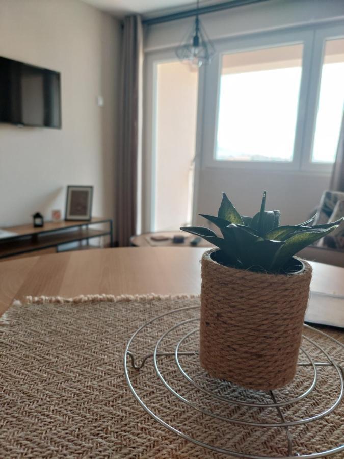 M Apartments Sokobanja Eksteriør billede