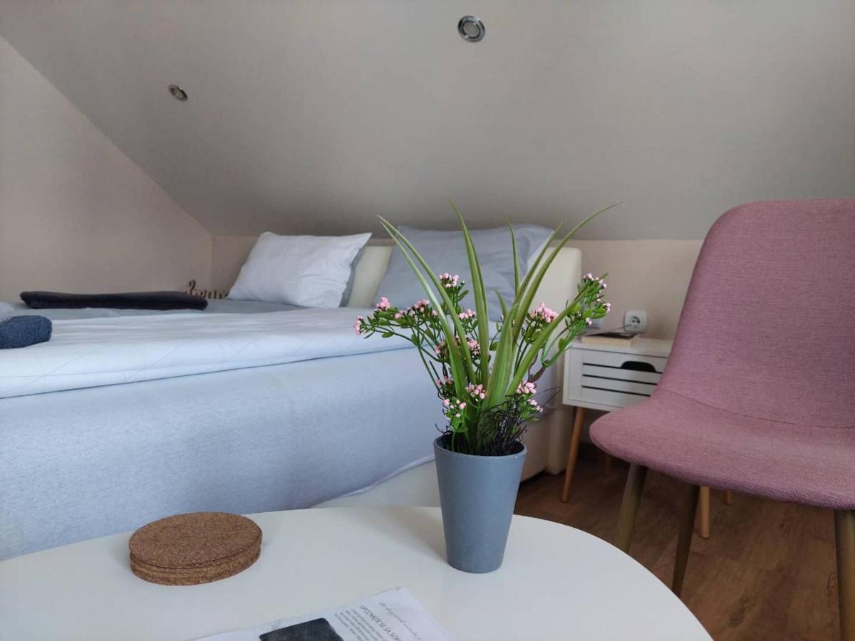M Apartments Sokobanja Eksteriør billede