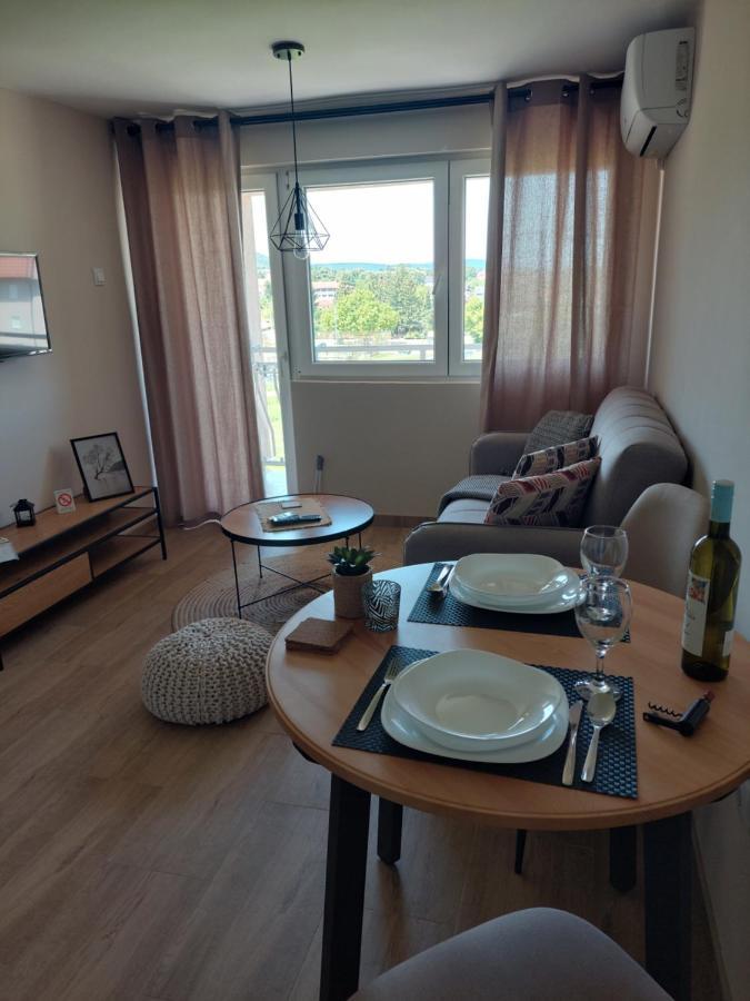 M Apartments Sokobanja Eksteriør billede